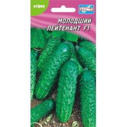 Огурец Младший лейтенант F1 /10 семян/ *Гелиос*
