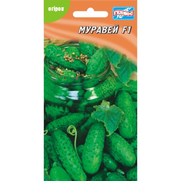 Огурец Муравей F1 /10 семян/ *Гелиос*