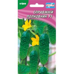 Огурец Настоящий полковник F1 /10 семян/ *Гелиос*