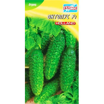 Огурец Октопус F1 /10 семян/ *Гелиос*