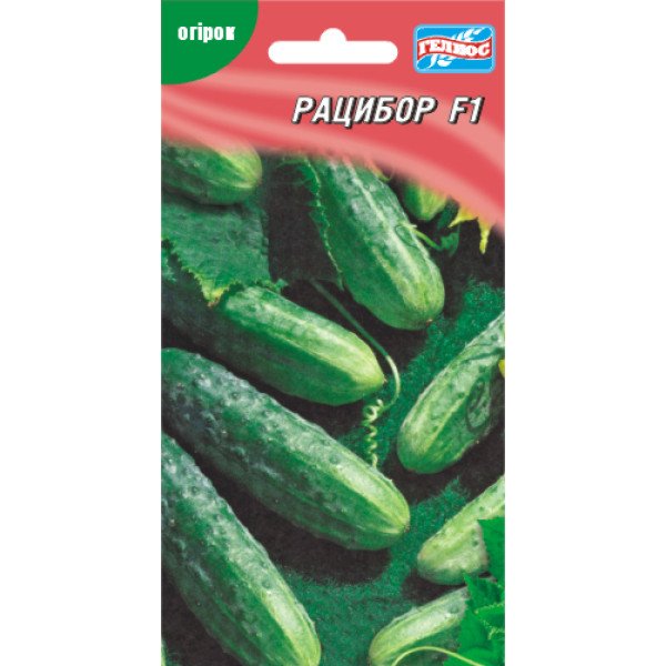 Огурец Рацибор F1 /20 семян/ *Гелиос*