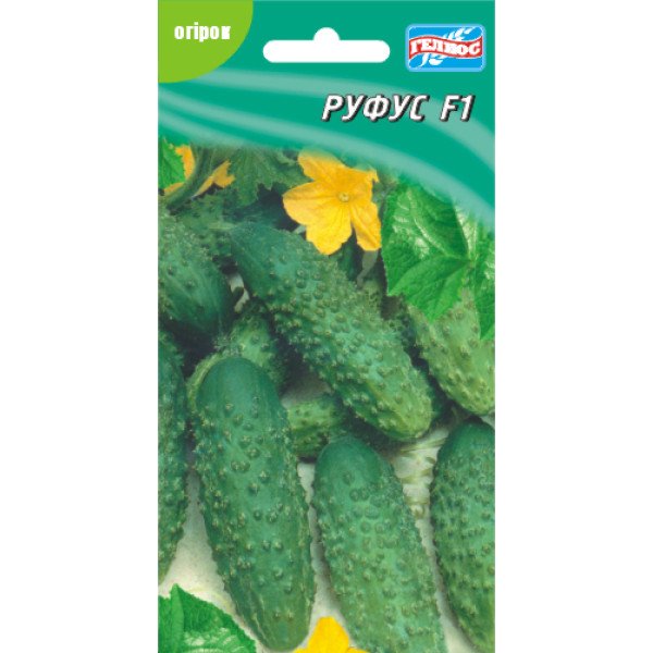 Огурец Руфус F1 /10 семян/ *Гелиос*
