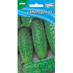 Огірок Самородок F1 /20 насінин/ *Геліос*