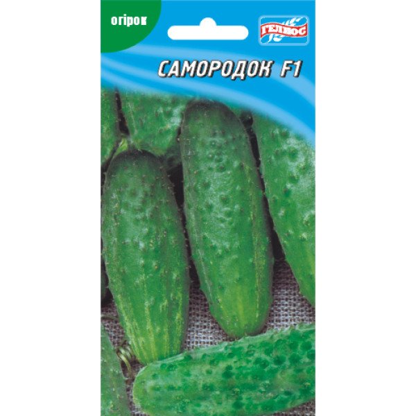 Насіння огірка Самородок F1 /20 насінин/ *Геліос*