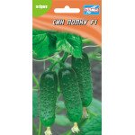 Огурец Сын полка F1 /10 семян/ *Гелиос*