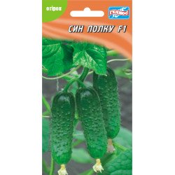 Огурец Сын полка F1 /10 семян/ *Гелиос*