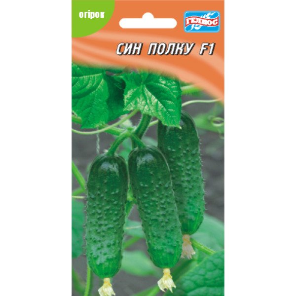 Семена огурца Сын полка F1 /10 семян/ *Гелиос*
