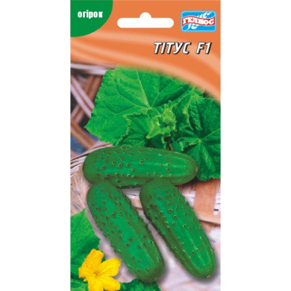 Огурец Титус F1 /10 семян/ *Гелиос*