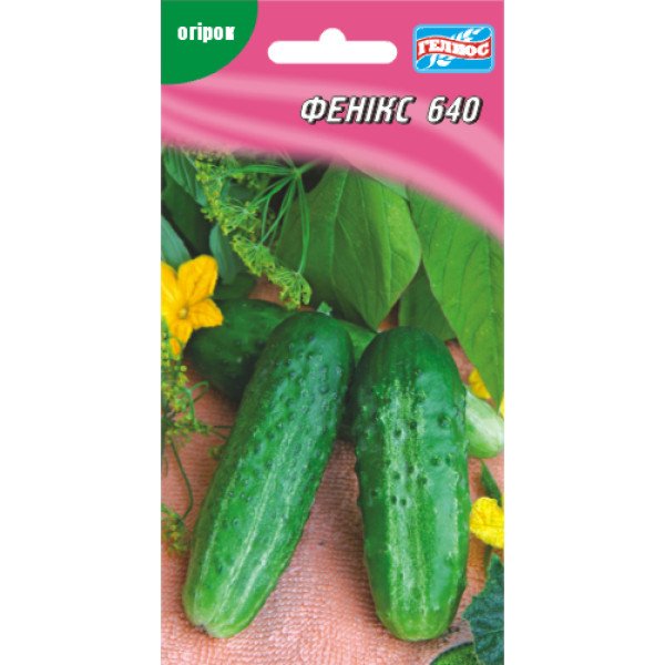Семена огурца Феникс 640 /40 семян/ *Гелиос*