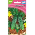 Огурец Филиппок F1 /10 семян/ *Гелиос*