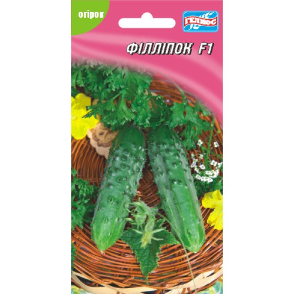 Огірок Філліпок F1 /10 насінин/ *Геліос*