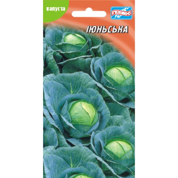 Насіння капусти білоголової Іюньська /150 насінин/ *Геліос*