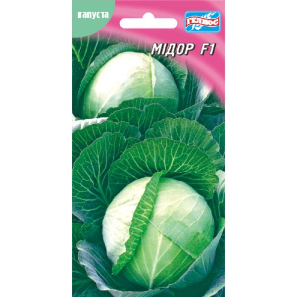 Капуста білоголова Мідор F1 /50 насінин/ *Геліос*