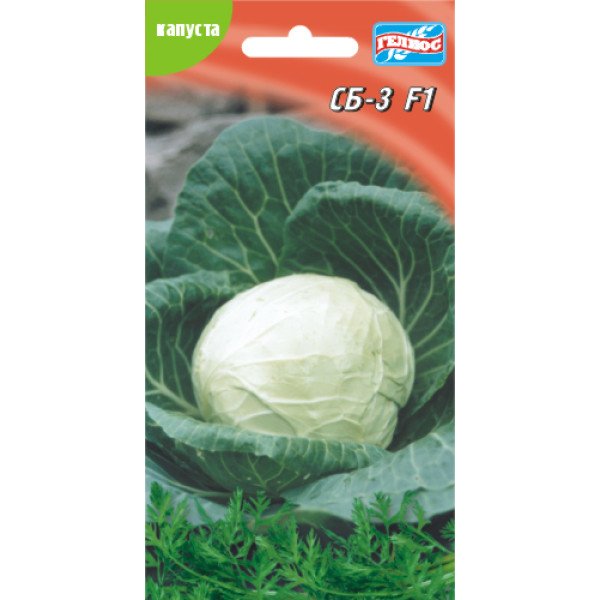 Насіння капусти білоголової СБ-3 F1 /50 насінин/ *Геліос