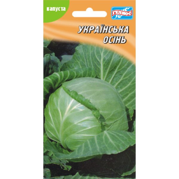 Насіння капусти білоголової Українська осінь /150 насінин/ *Геліос*