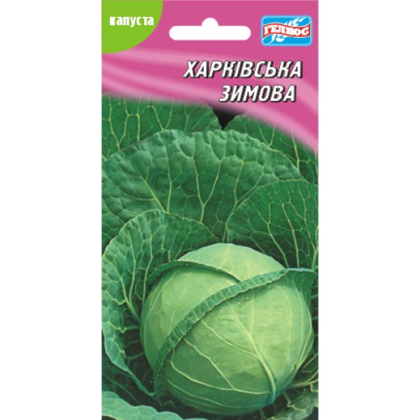 Насіння капусти білоголової Харківська зимова /150 насінин/ *Геліос*