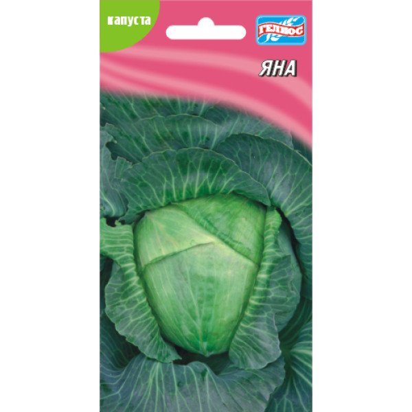 Капуста білоголова Яна /150 насінин/ *Геліос*