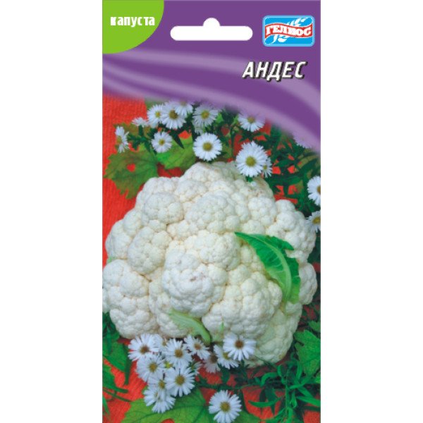 Насіння капусти цвітної Андес /50 насінин/ *Геліос*