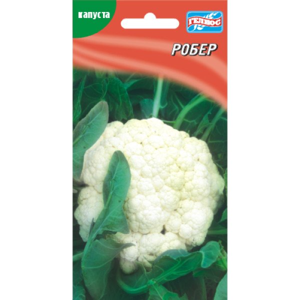 Капуста цвітна Робер /100 насінин/ *Геліос*