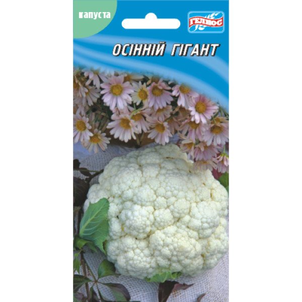 Насіння капусти цвітної Осінній гігант /100 насінин/ *Геліос*