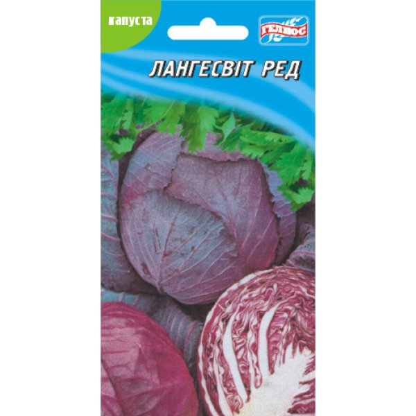 Насіння капусти червоноголової Лангесвіт ред /100 насінин/ *Геліос*