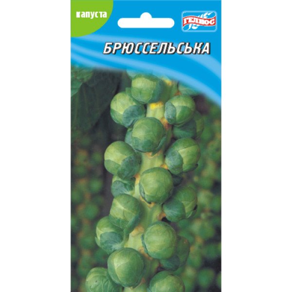 Насіння брюссельської капусти/100 насінин/ *Геліос*.