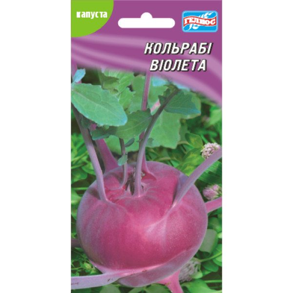 Насіння капусти кольрабі Віолета /100 насінин/ *Геліос*