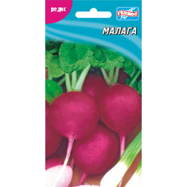 Редис Малага /200 семян/ *Гелиос*