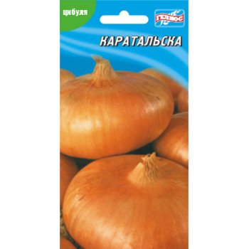 Лук Каратальский /200 семян/ *Гелиос*