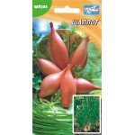 Лук-шалот /100 семян/ *Гелиос*