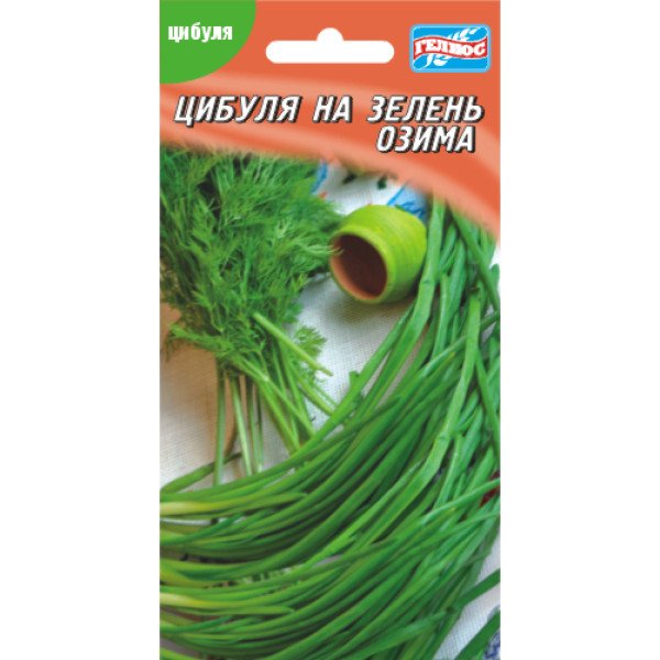 Насіння цибулі на перо Озима /100 насінин/ *Геліос*