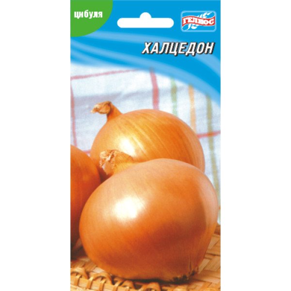 Насіння цибулі Халцедон /200 насінин/ *Геліос*