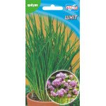 Лук-шнитт /150 семян/ *Гелиос*