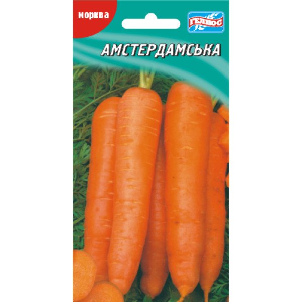 Насіння моркви Амстердамська /1000 насінин/ *Геліос*