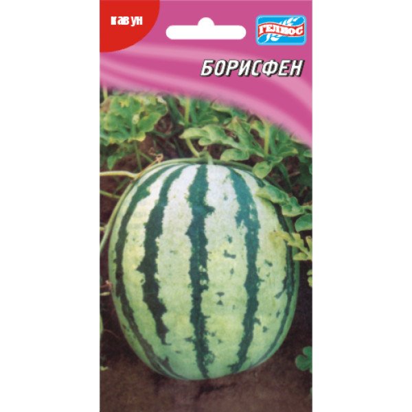 Кавун Борисфен /20 насінин/ *Геліос*