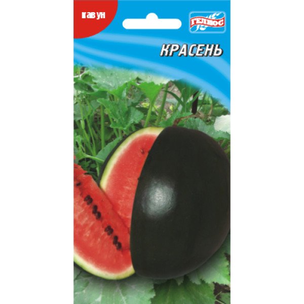 Насіння кавуна Красень /20 насінин/ *Геліос*