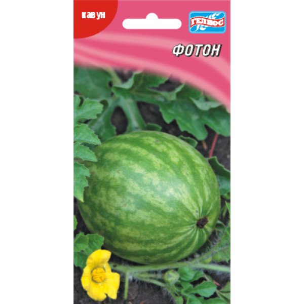 Кавун Фотон /20 насінин/ *Геліос*