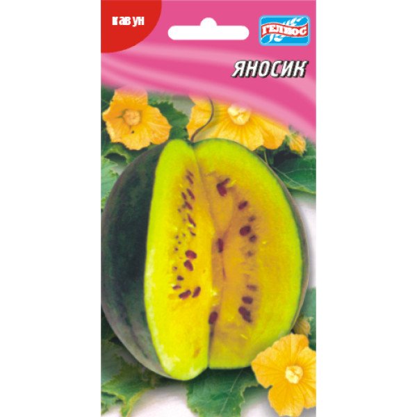 Арбуз Яносик /5 семян/ *Гелиос*