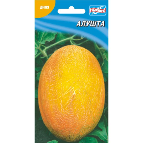 Семена дыни Алушта/20 семян/ *Гелиос*
