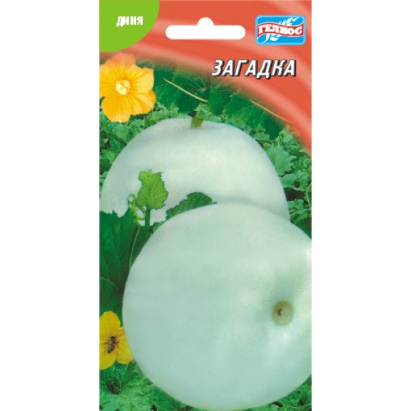 Семена дыни Загадка /5 семян/ *Гелиос*