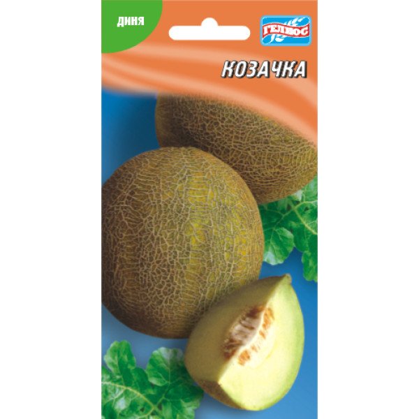 Насіння дині Козачка /20 насінин/ *Геліос*
