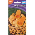Тыква Арабатская /10 семян/ *Гелиос*