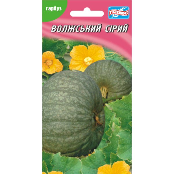 Семена тыквы Волжская серая /15 семян/ *Гелиос*