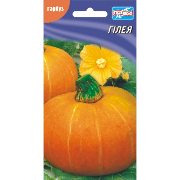 Семена тыквы Гилея /10 семян/ *Гелиос*