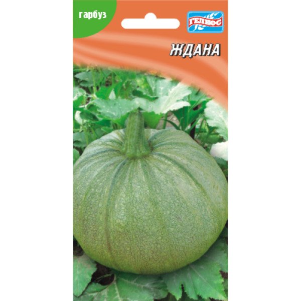 Тыква Ждана /15 семян/ *Гелиос*