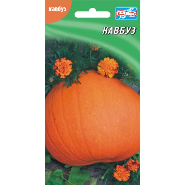 Семена тыквы Кавбуз /5 семян/ *Гелиос*