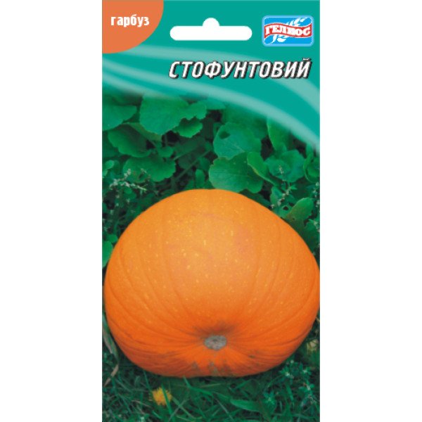Насіння гарбуза Стофунтовий /10 насінин/ *Геліос*