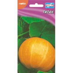 Тыква Титан /5 семян/ *Гелиос*