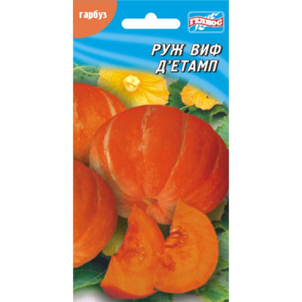 Семена тыквы Руж виф Д'этамп /10 семян/ *Гелиос*