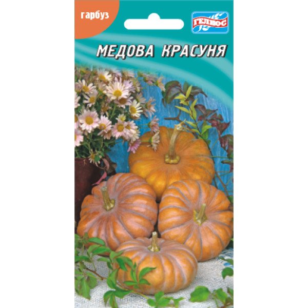 Насіння гарбуза Медова красуня/10 насінин/ *Геліос*